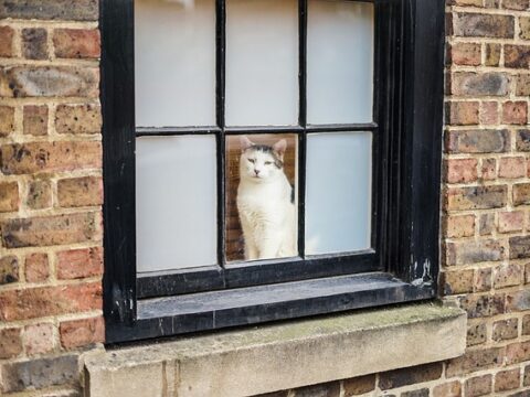Shakespeare Worked in Shoreditch First, and the Evidence Is Under an Office Block